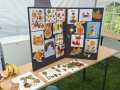 20260905-Feest-Kidsclub-knutselen-1